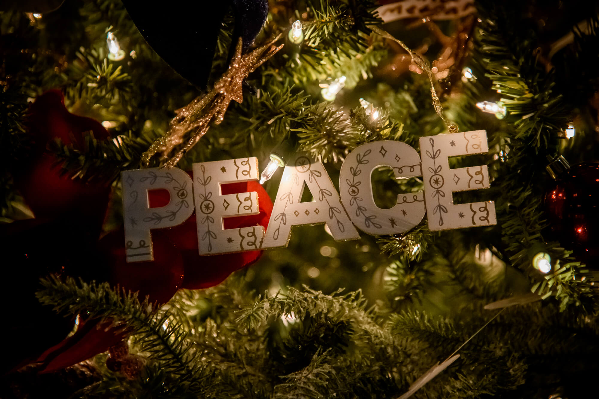 Festival of Trees Sponsorships