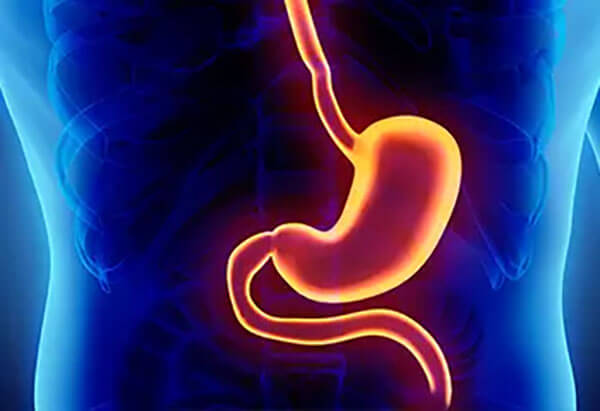 Metabolic and Bariatric Surgery
