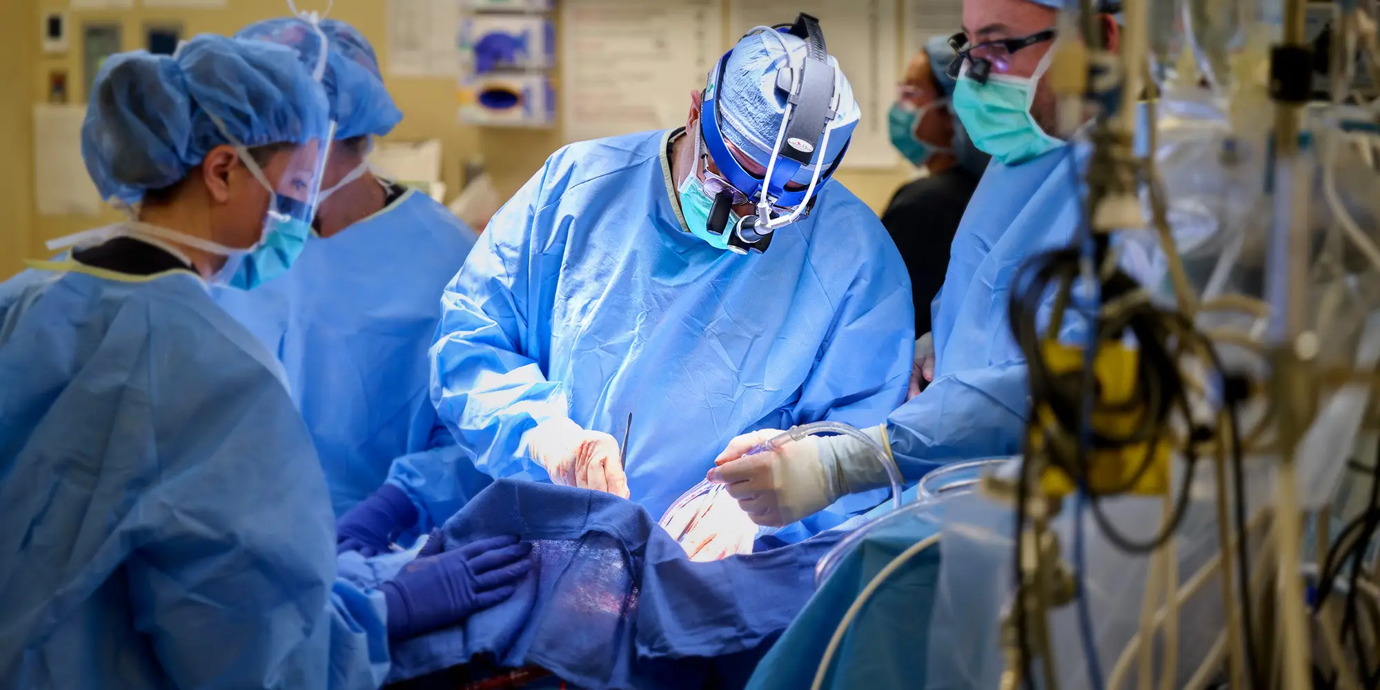 heart surgery, bypass surgery, open heart surgery, heart valve, mitral valve replacement, minimally invasive cardiac surgery, Cardiovascular Surgery