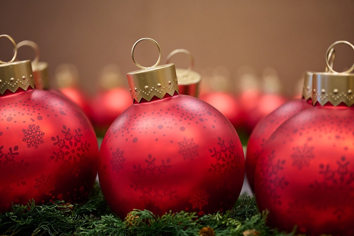 Festival of Trees 40th Anniversary Review