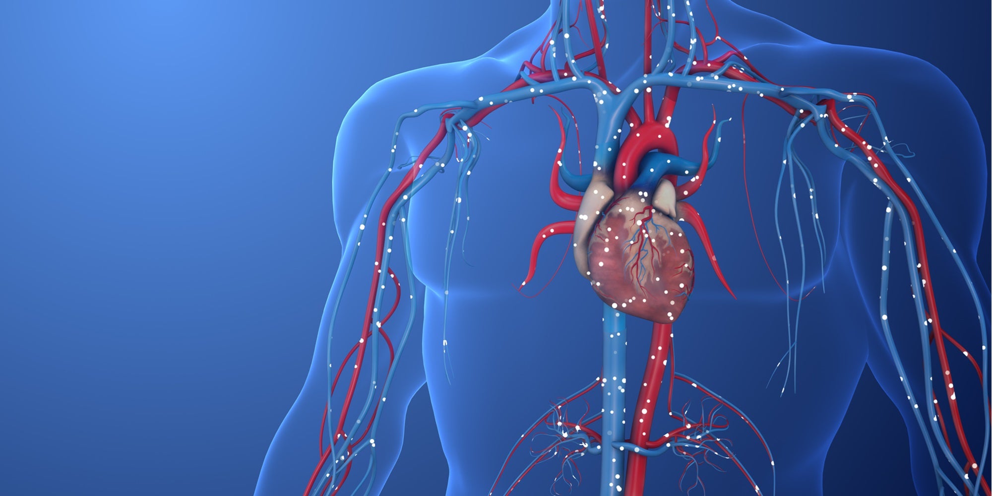 vascular surgery, Vascular, pvd, cerebrovascular disease, endovascular, endovascular surgery