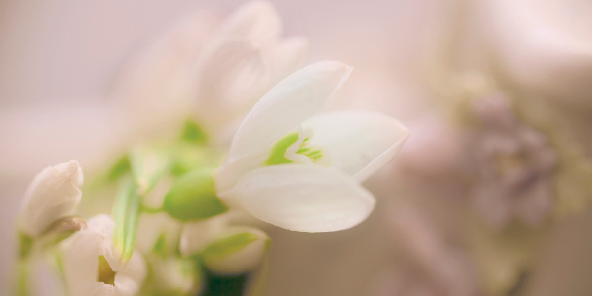 PACT (Perinatal/Pediatric Advanced Care Team)