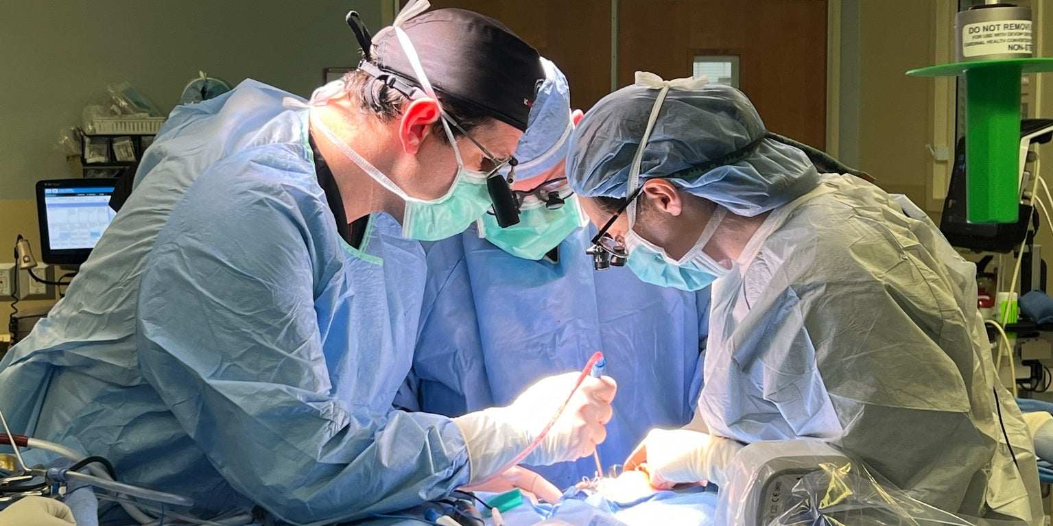 Neurologists