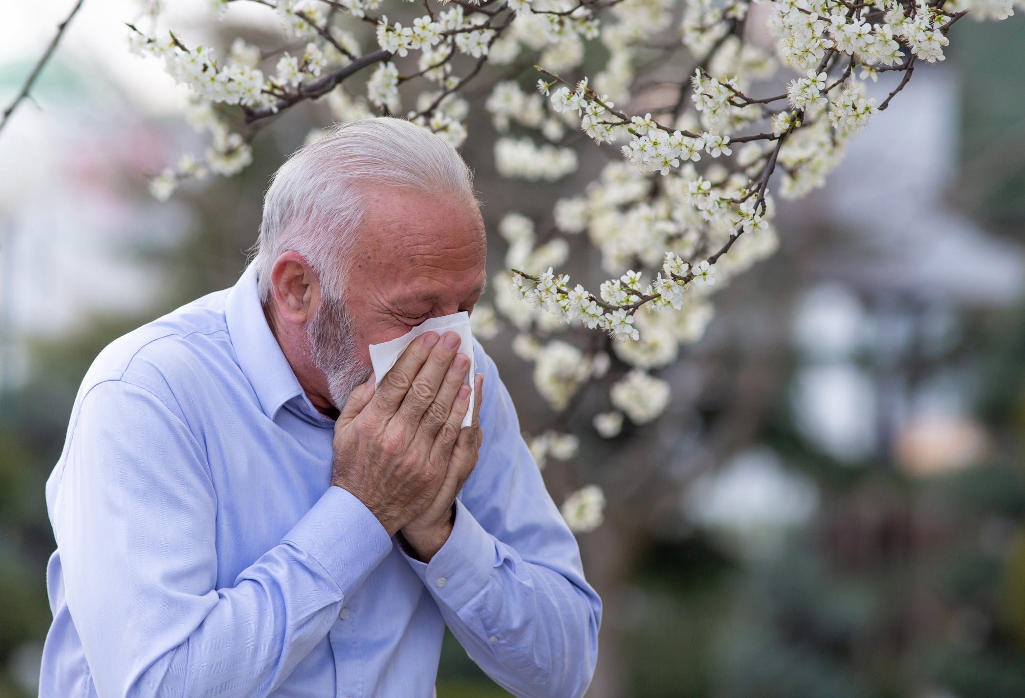 seasonal allergies, allergies, testing for allergies, rhinorrhea, medication for allergy