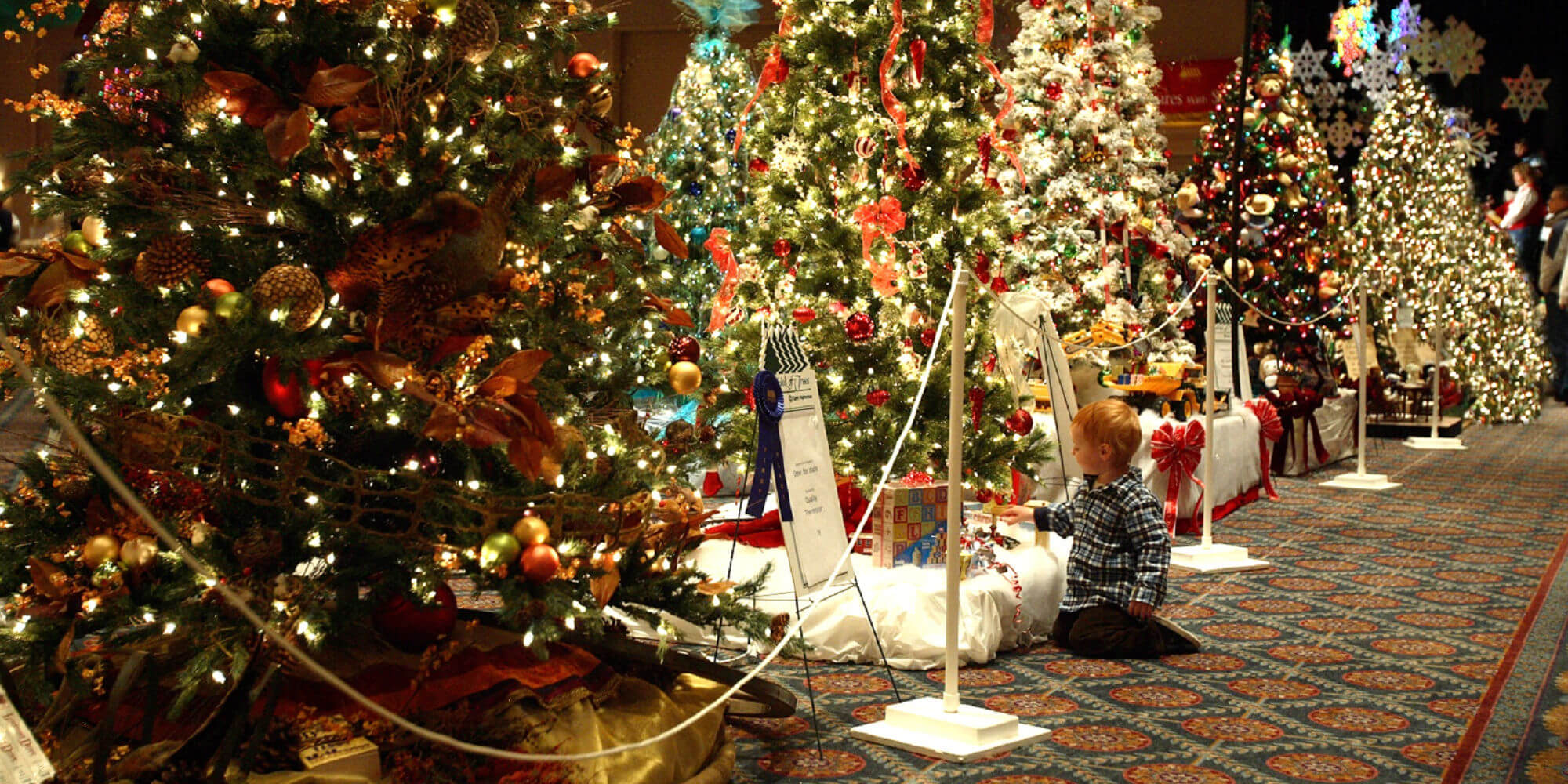 Festival of Tree Sponsors
