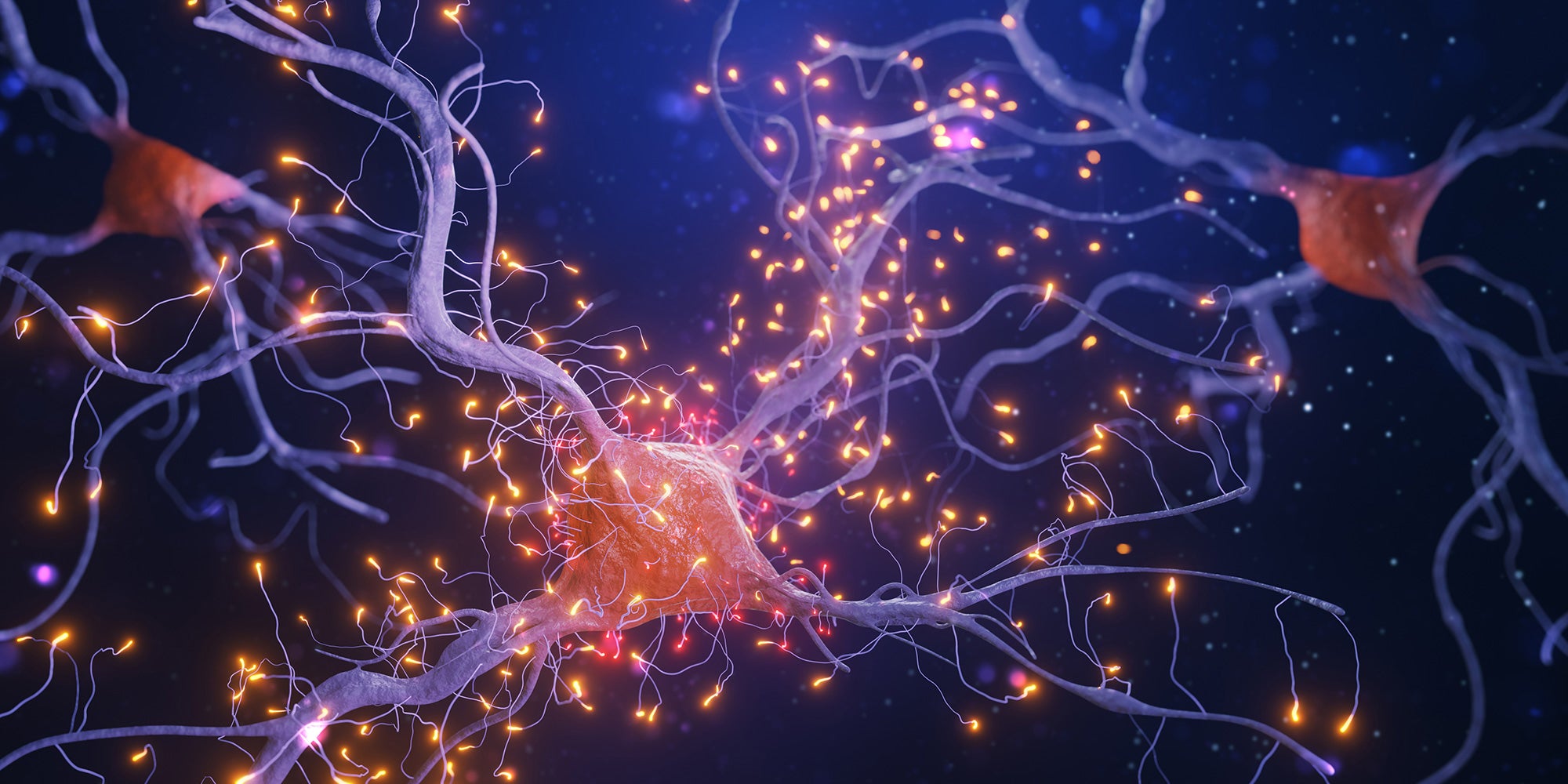 Neurology, neurological diseases and disorders, neurodegenerative disorders