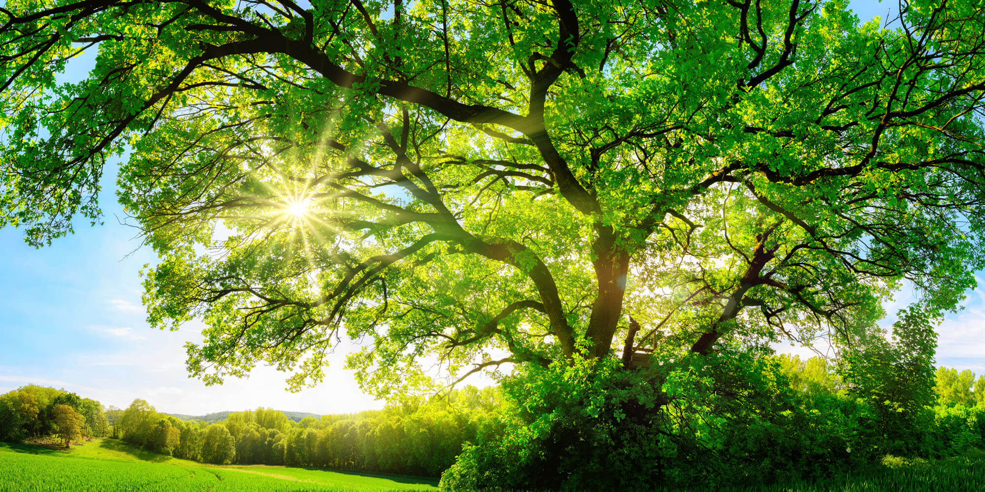 Center for Global Health and Healing Saint Alphonsus