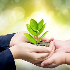holding a small branch with leafs